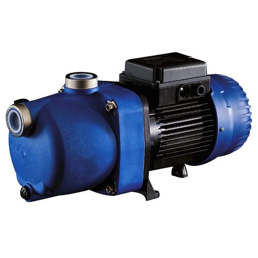 Bomba Polaris
