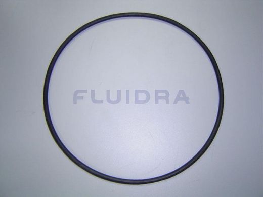 Junta Torica 192X5 (Bomba Maxim)